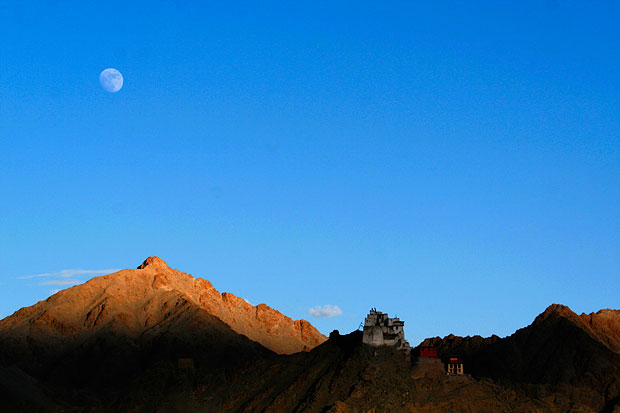 namgyal tsemo gompa, Leh, Ladakh