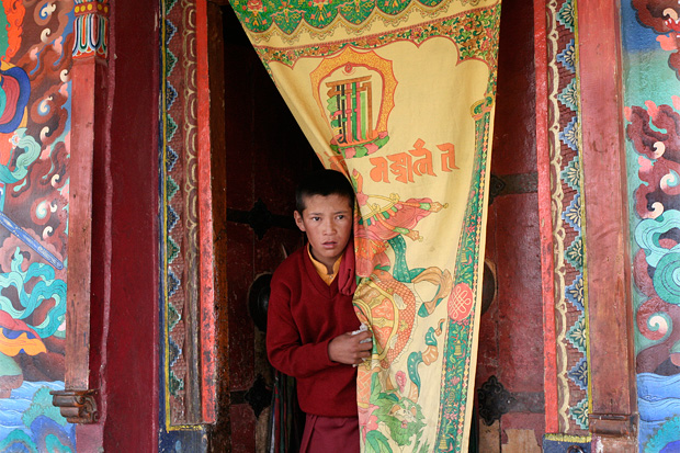 ladakhi monks