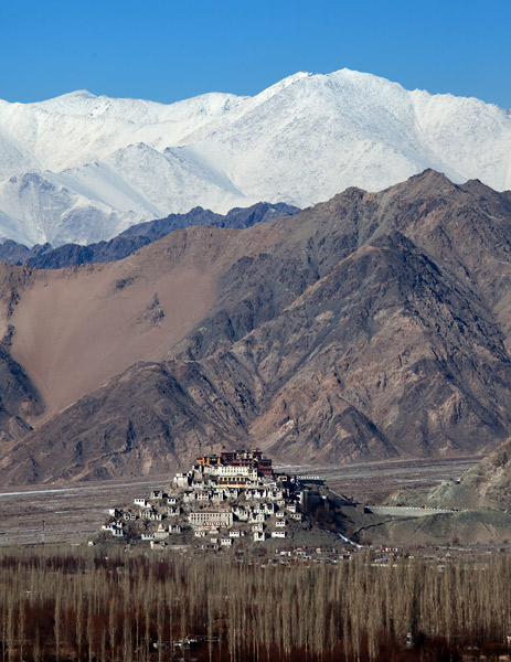 thiksey monastery, ladakh