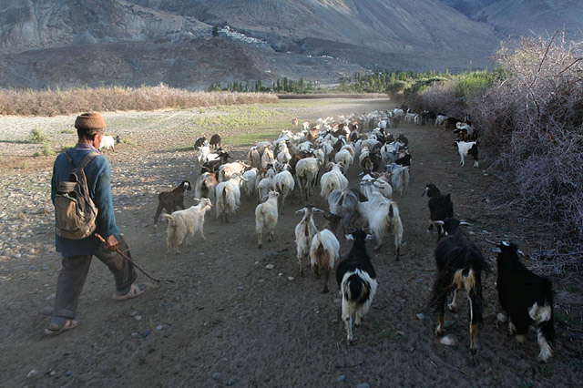 people of ladakh