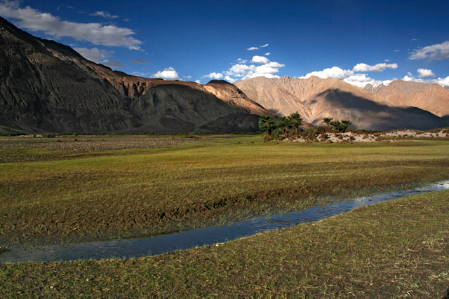 nubra valley, ladakh