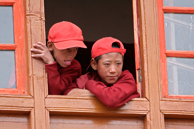 young monks, ladakh