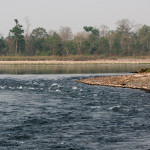 Jia Bharali River