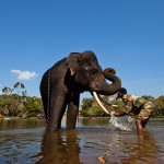 Coorg - Dubare Elephant Camp