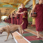 Monks at Kya Khat Wain Monastery