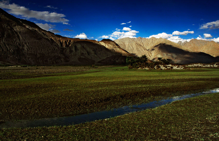 Nubra Valley in Ladakh – River, Greenery and Slow Travel – Musings of a  Wandering Mind
